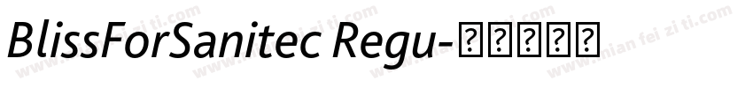 BlissForSanitec Regu字体转换